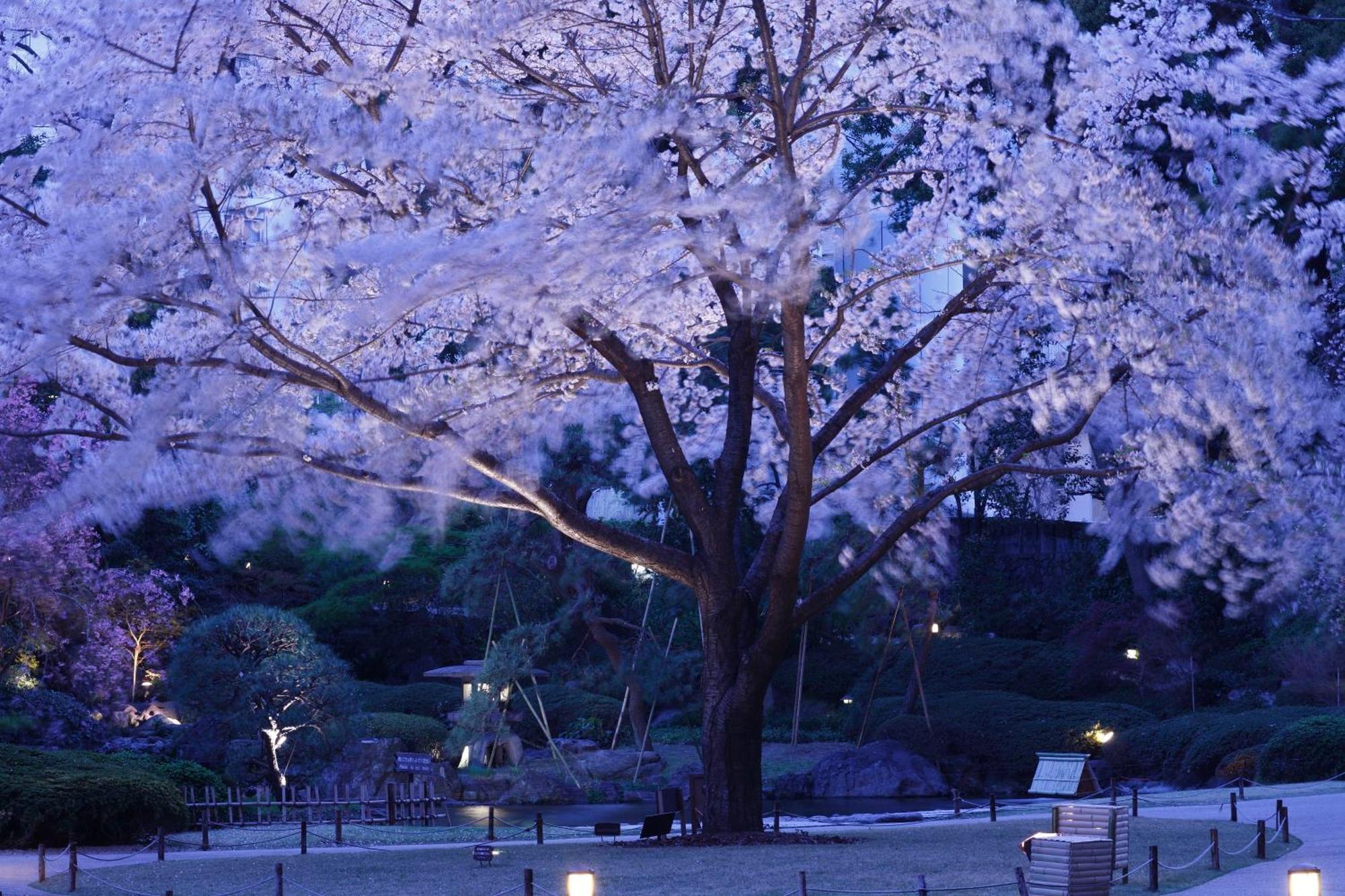 Grand Shin Takanawa Tokio
